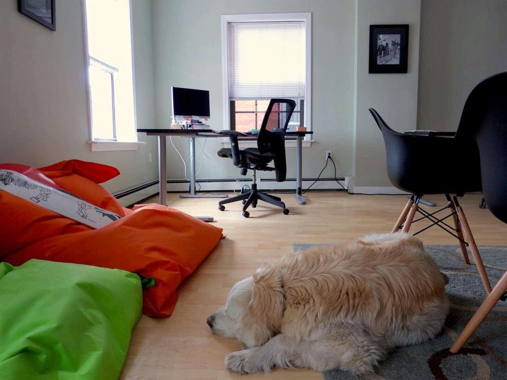 Interior photo of colorful bean bag chairs in office
