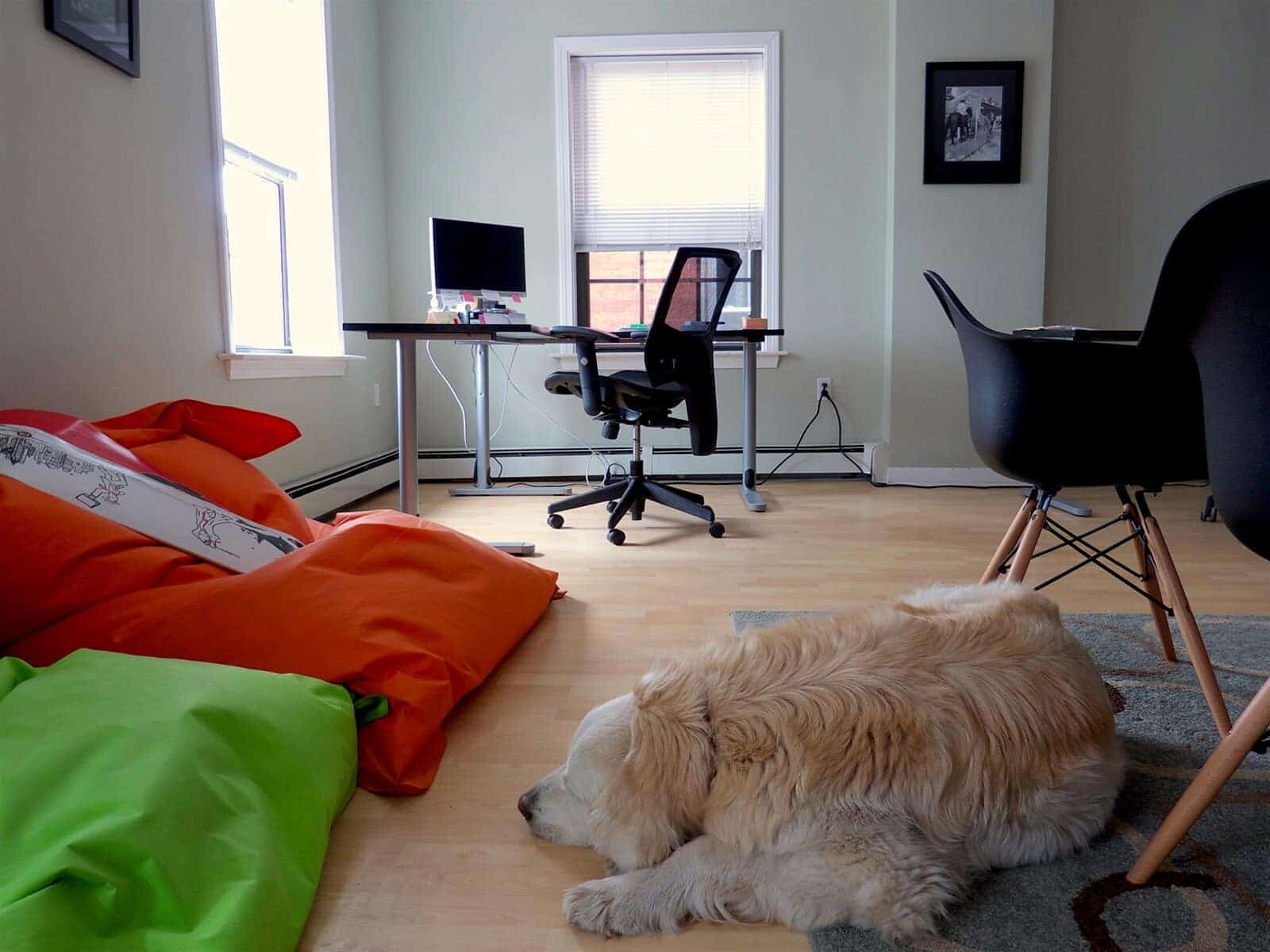 Interior photo of colorful bean bag chairs in office